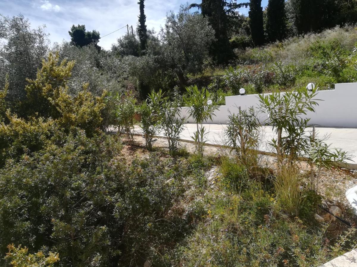 Stone House In Olive Grove Tolón
