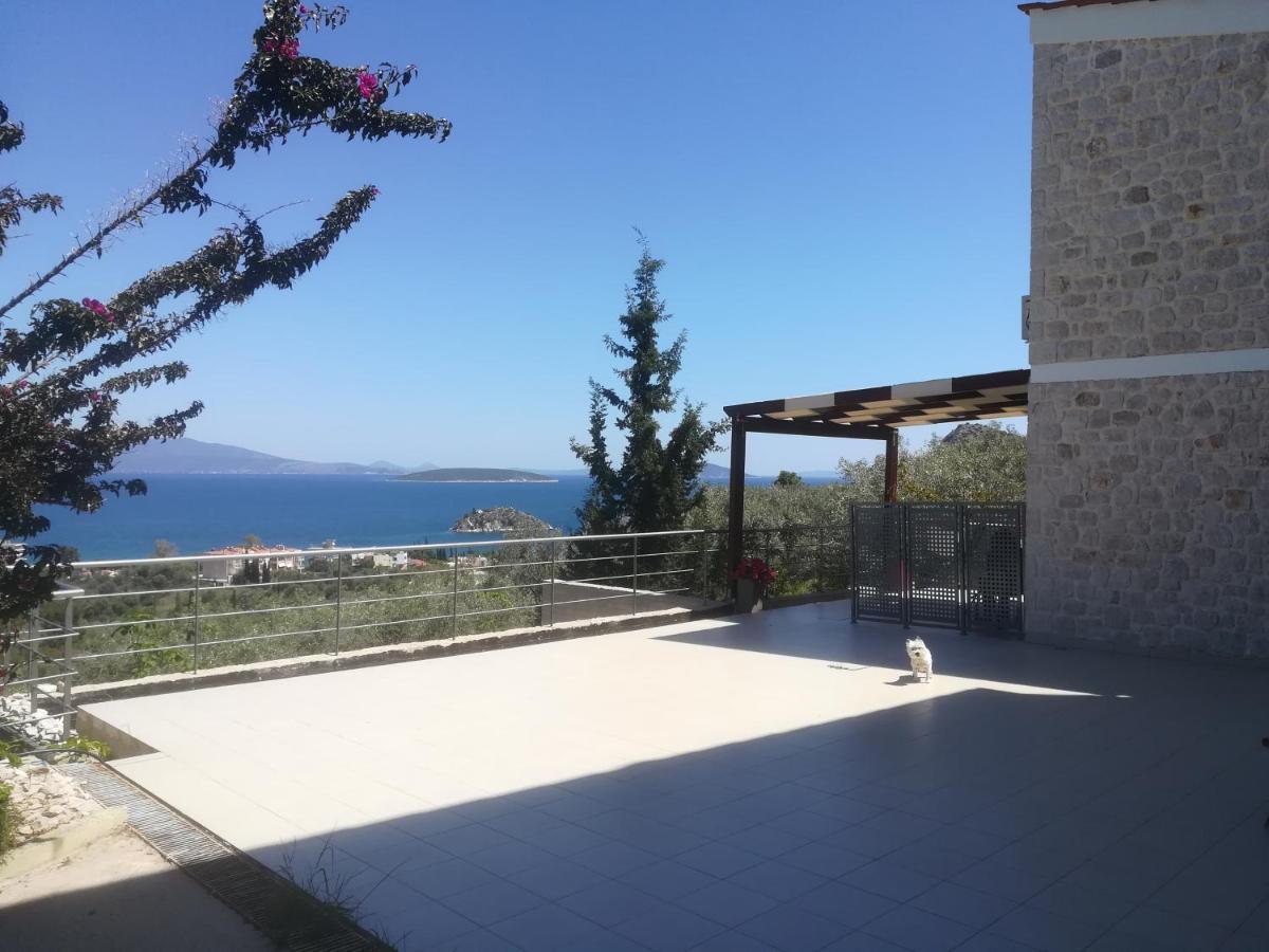 Stone House In Olive Grove Tolón