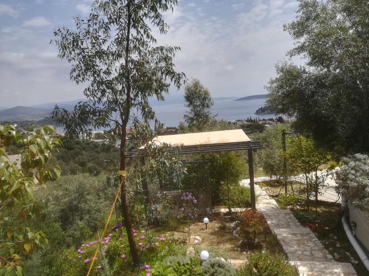 Stone House In Olive Grove Casa vacanze *