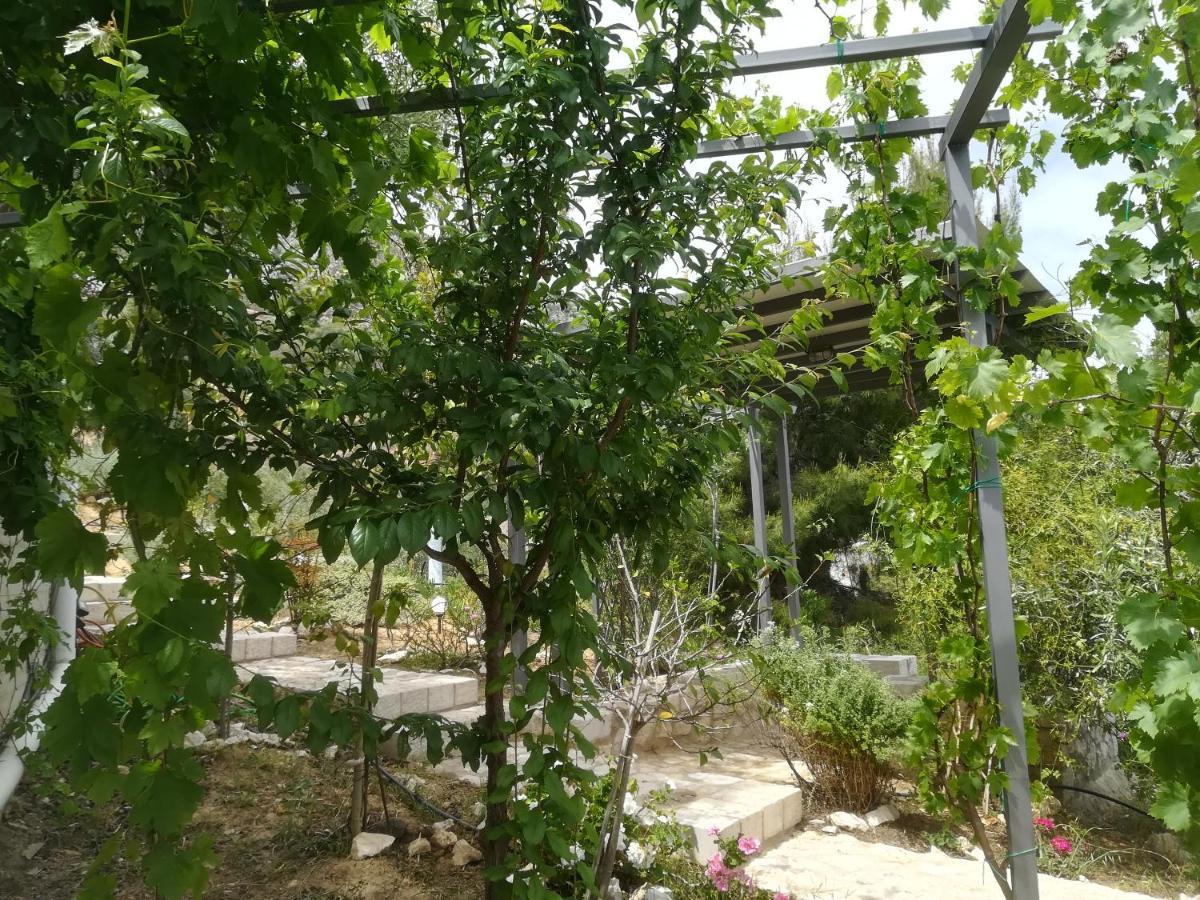 Stone House In Olive Grove Casa vacanze *