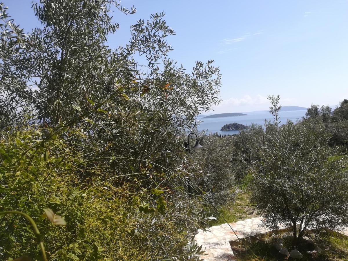Casa vacanze Stone House In Olive Grove