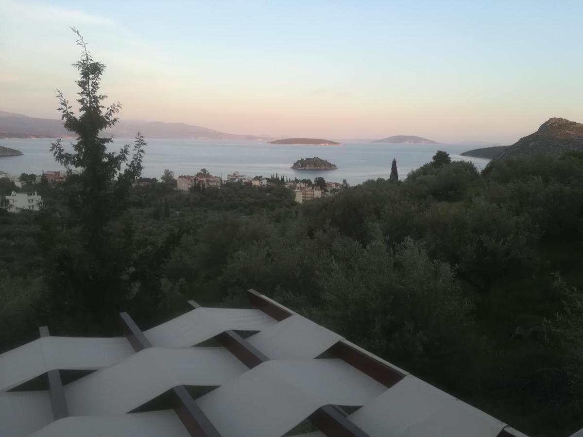Casa vacanze Stone House In Olive Grove Tolón