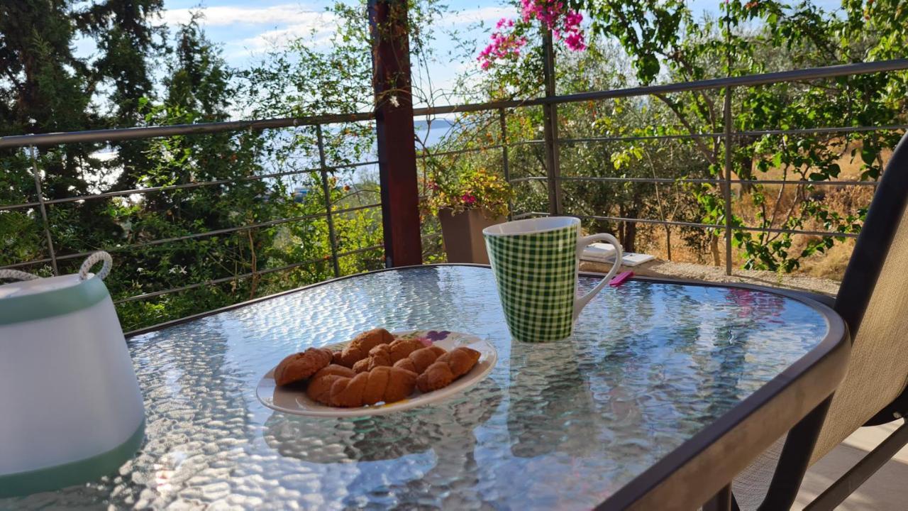 Stone House In Olive Grove Casa vacanze