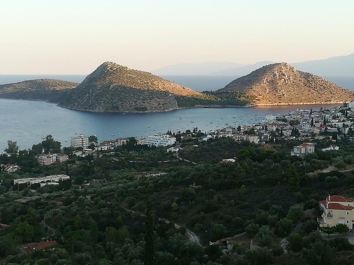 Casa vacanze Stone House In Olive Grove *